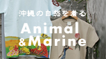 ưʪ���ޥ�󡡲������������ã