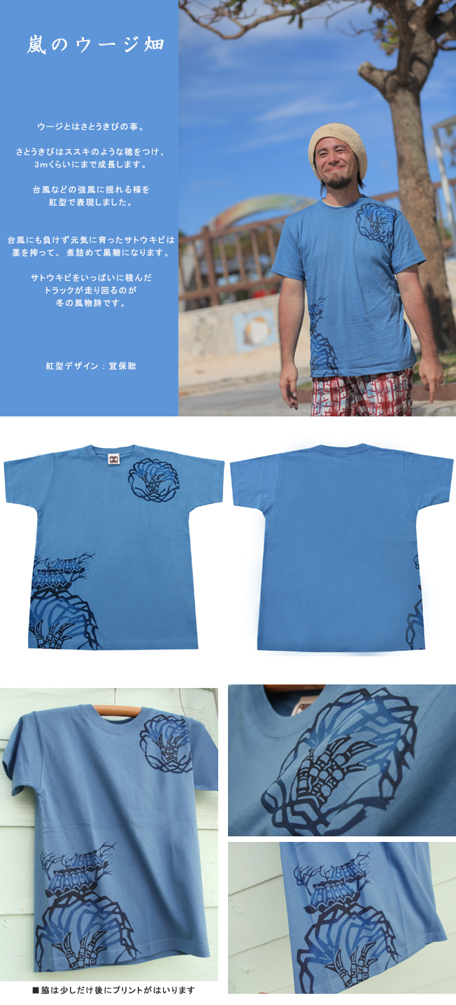 嵐 の掲示板投稿写真＆画像